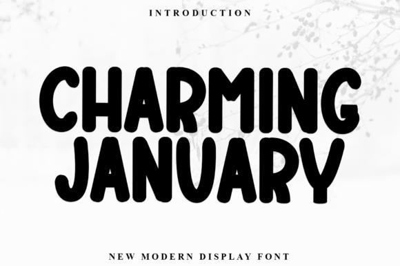 Charming January: A Warm and Playful Display Font