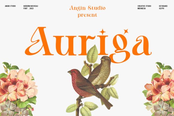Discover Auriga: A Font for Creative Makers