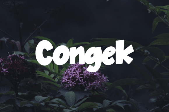 Enhance Your Brand with the Stylish Congek Font