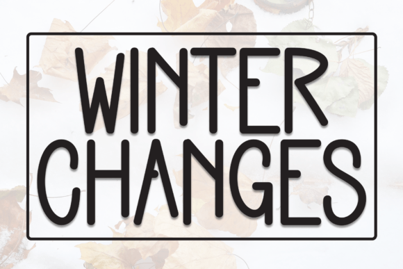 Winter Changes: A Font for Engaging Campaigns
